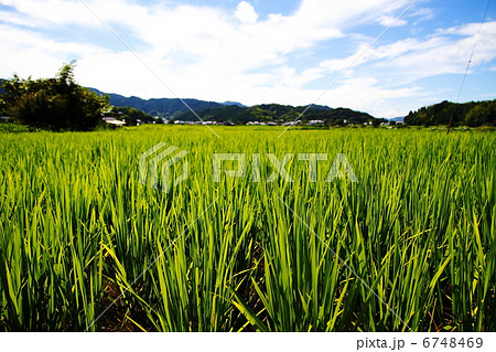 奈良の風景02 奈良の風景02 6748469