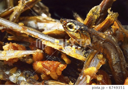 田作り　カタクチイワシ　クローズアップ 6749351