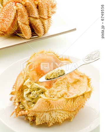 蟹味噌 蟹味噌 6749556