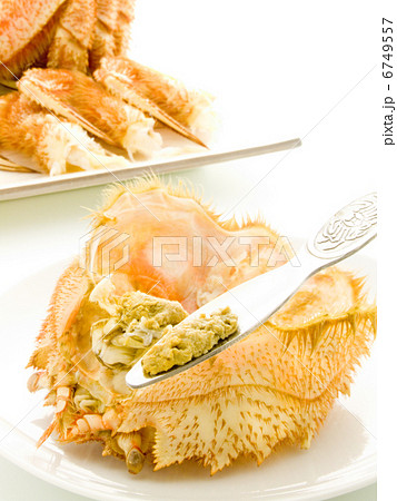蟹味噌 蟹味噌 6749557