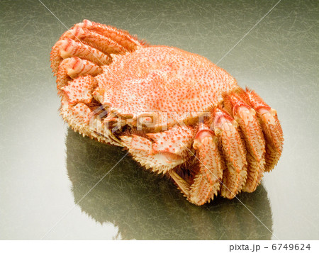 毛蟹 毛蟹 6749624