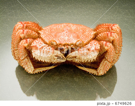 毛蟹 毛蟹 6749626