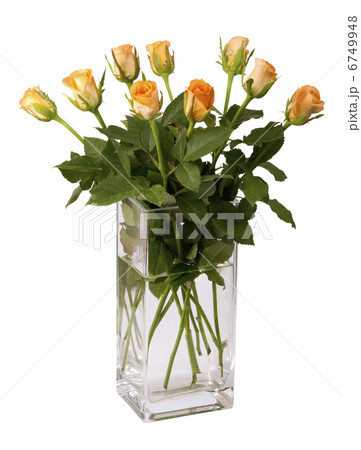 bouquet of fresh roses 6749948