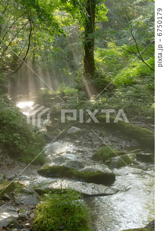 森の緑と小川に朝の光芒 6750179