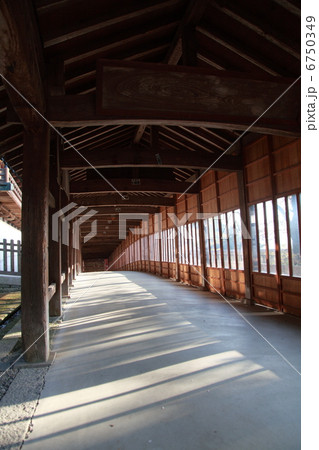 参道 参道 6750349