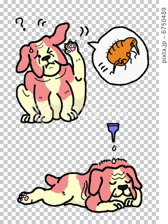 Dog flea control 6750489