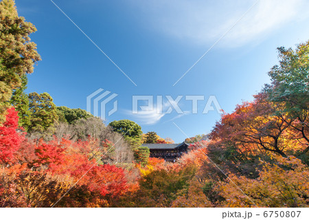 東福寺 通天橋 東福寺 通天橋 6750807