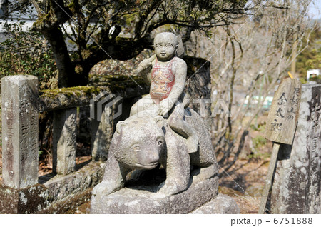 金太郎像の写真素材 [6751888] - PIXTA