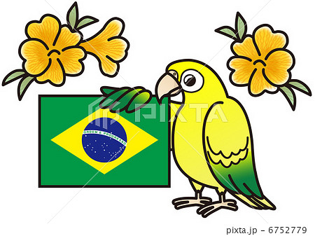 ニョオウインコとブラジル国旗のイラスト素材