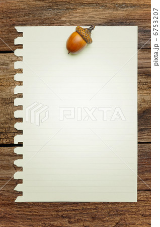 ドングリ　メッセージ 6753207