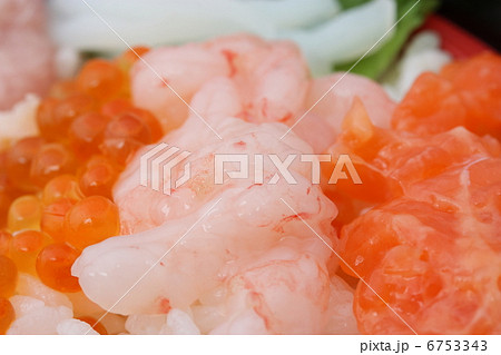 海鮮チラシ 6753343
