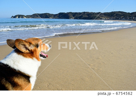 海で笑う 6754562