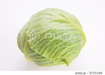 春キャベツ 6755386