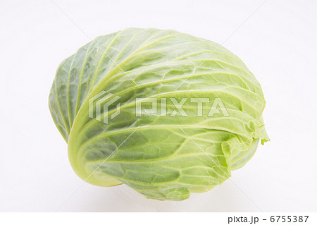 春キャベツ 6755387