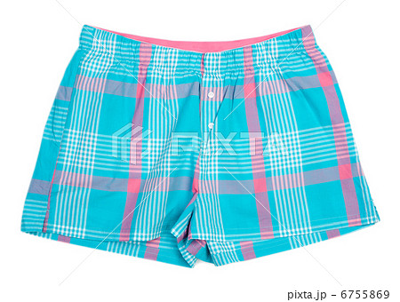 The blue plaid shorts The blue plaid shorts 6755869