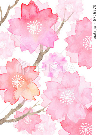 桜水彩画絵葉書のイラスト素材