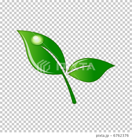 お茶の葉 6762376