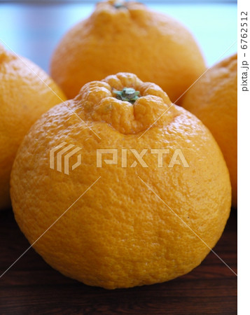 デコポン デコポン 6762512