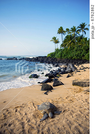 ウミガメのいる海岸-1 6762862