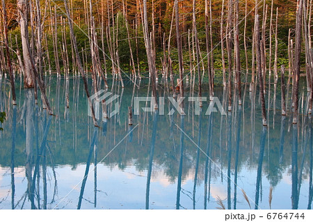 青い池01 6764744