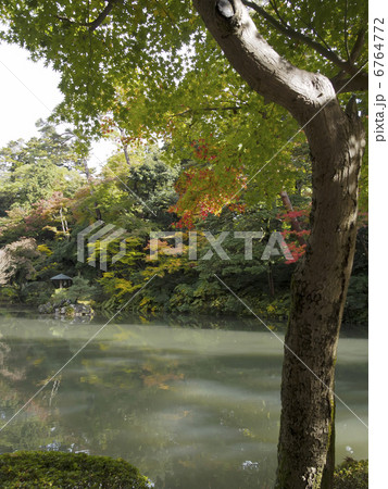 兼六園の紅葉 6764772