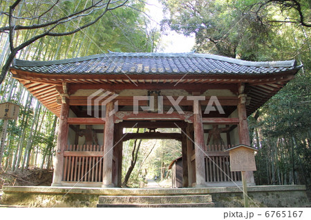 勝持寺 6765167