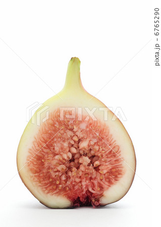 イチジク イチジク 6765290