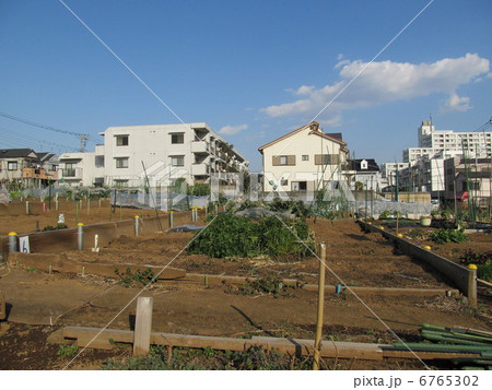 練馬区の畑 練馬区の畑 6765302