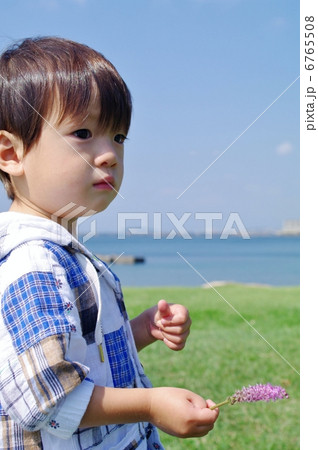 浜蔓穂(ハマツルボ)と子供 浜蔓穂(ハマツルボ)と子供 6765508