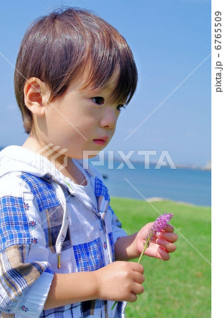 浜蔓穂(ハマツルボ)と子供 浜蔓穂(ハマツルボ)と子供 6765509