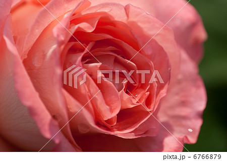 プレステージ ドゥ リヨン プレステージ ドゥ リヨン 6766879