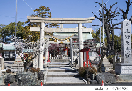 名古屋市　上野天満宮 6766980
