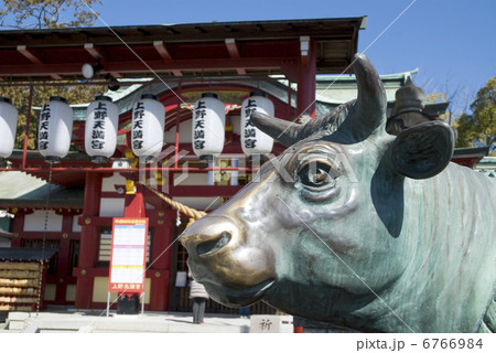 名古屋市 上野天満宮 牛の像 名古屋市 上野天満宮 牛の像 6766984
