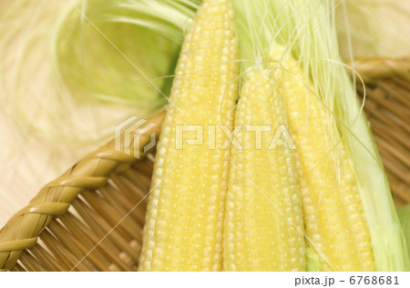 ベビーコーン ベビーコーン 6768681