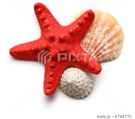 Seastar and seashells on white Seastar and seashells on white 6768772
