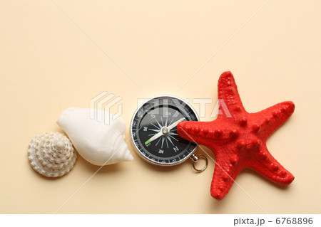 Compass, red seastar and seashells 6768896