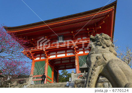 清水寺の仁王門 6770124