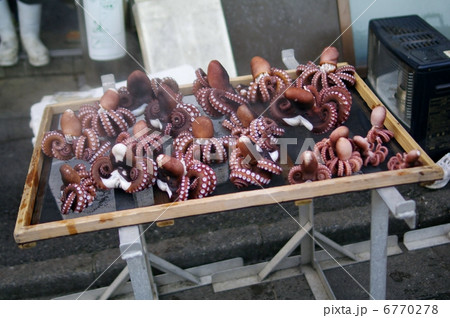 茹でたての蛸 6770278