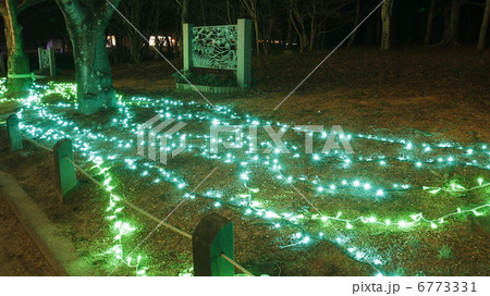 万博ライトアップ 6773331