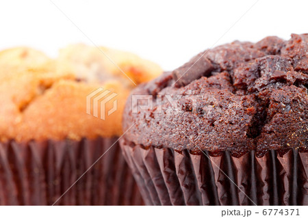 Close up of chocolate muffin and a regular muffin 6774371