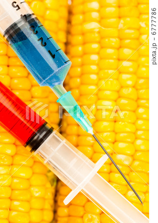 Two syringes on corn 6777786