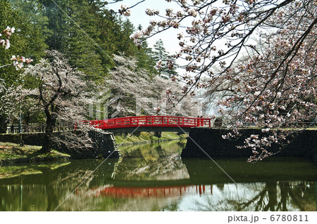 松が岬公園の桜 松が岬公園の桜 6780811