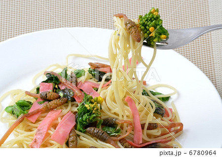 春のスパゲティ 6780964