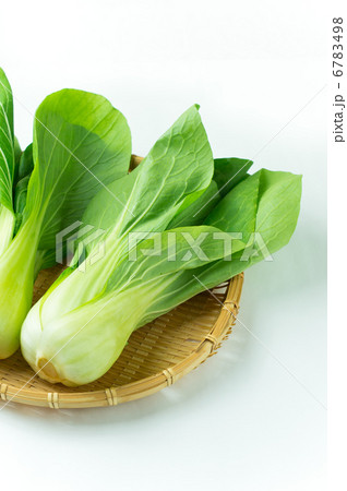 チンゲンサイ 6783498