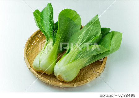 チンゲンサイ 6783499