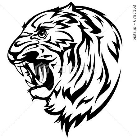 Furious Tiger Vector Illustration Realistic Stock Illustration