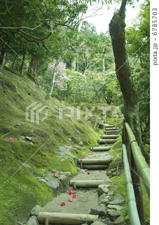 苔庭と階段 苔庭と階段 6785703