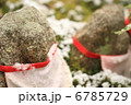 和 6785729