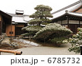 松 6785732