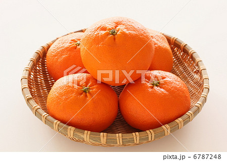 フルーツ みかん 甘平 フルーツ みかん 甘平 6787248